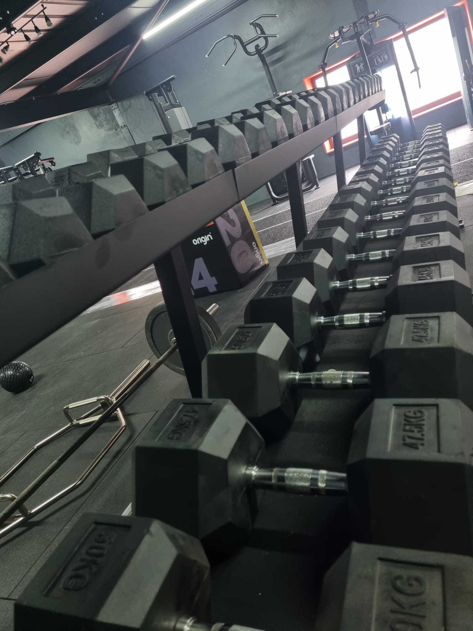 Legacy Fitness free weights